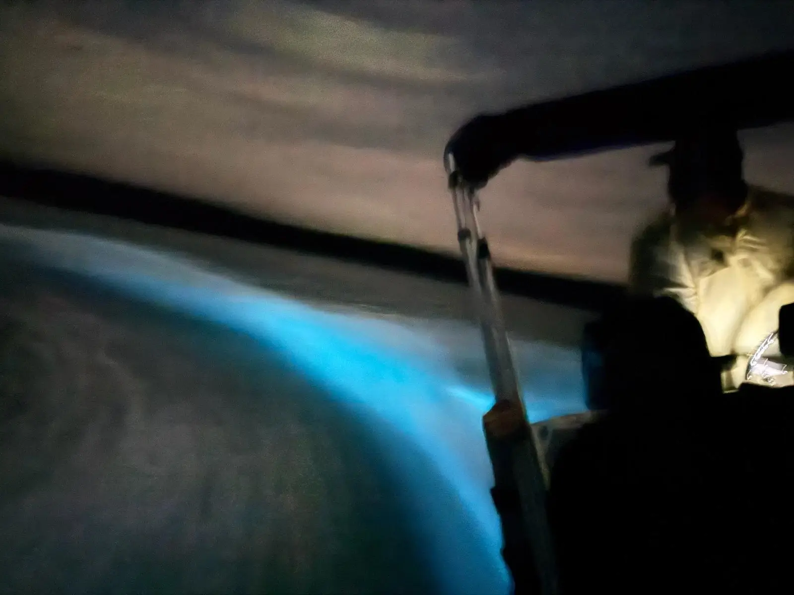 Bioluminescence night tour in Southern Belize