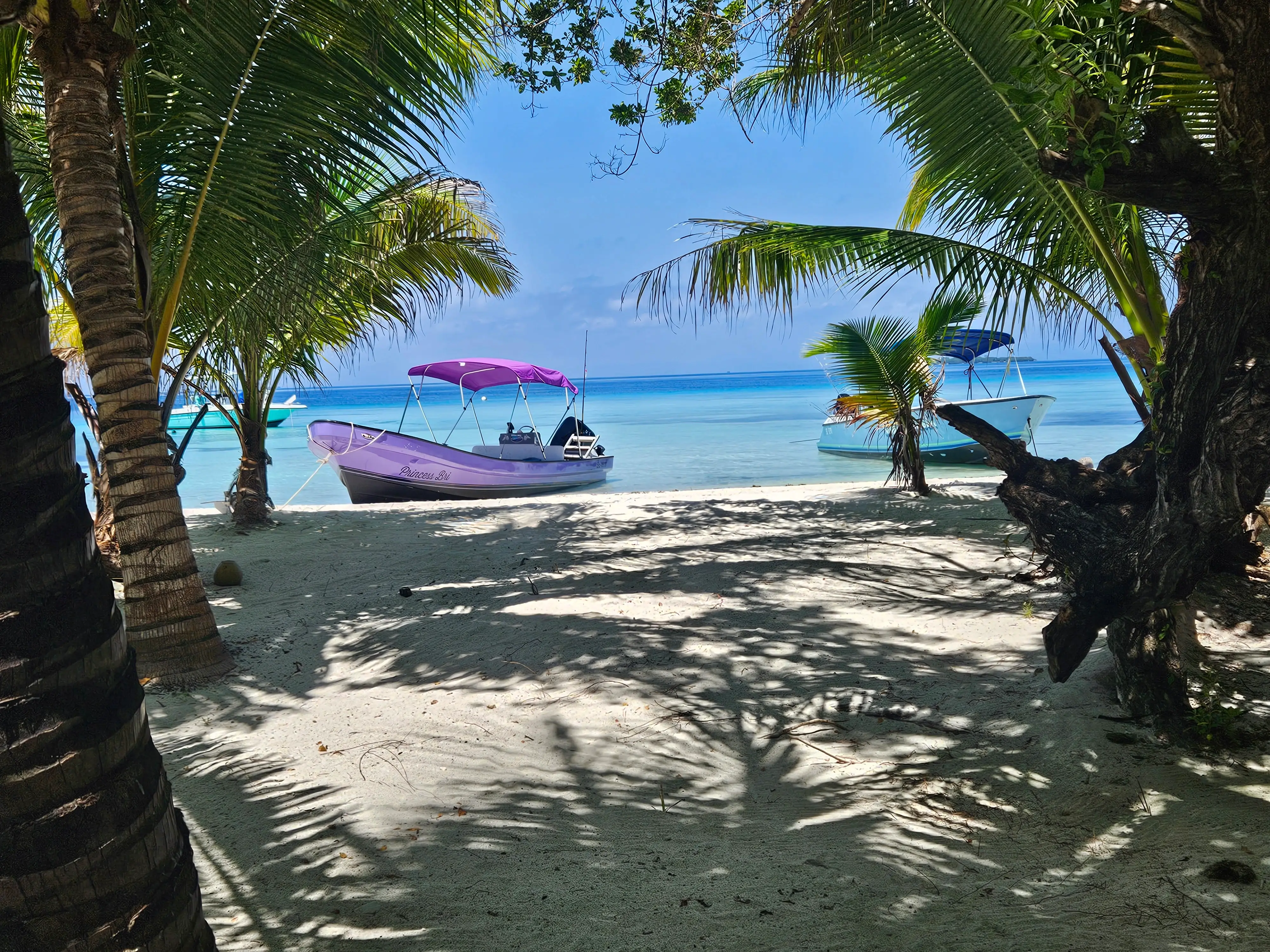 Belize adventure tour on the Caribbean coast near Hopkins, Belize